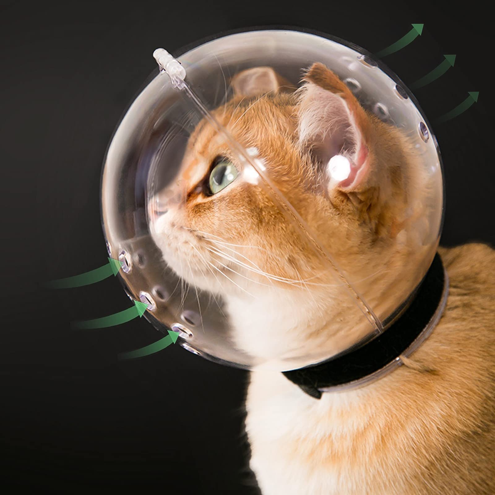 👨‍🚀Say Goodbye to Scratches and Bites: Kitten Astronaut Helmet