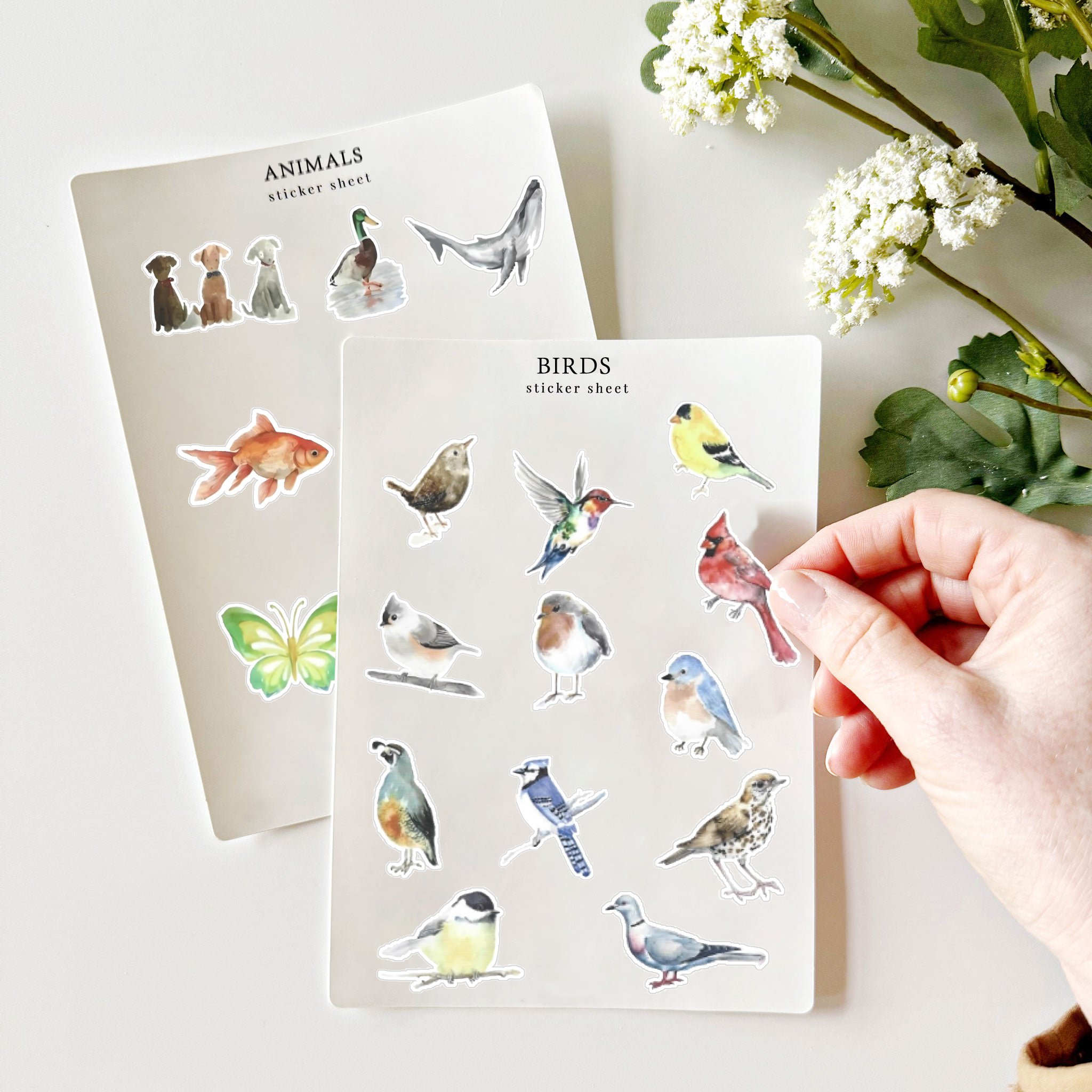 𝙊𝙏𝙀𝙃® Birds sticker sheets