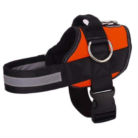 World's Best Dog Harness No More Pulling - 2024 Version BUY 2 GET FREE SHIPPING