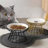 💲ONE DAY 70% OFF🥣Whisker-Friendly Anti-Vomit Cat Plate🔥Buy 2 Get Free Shipping