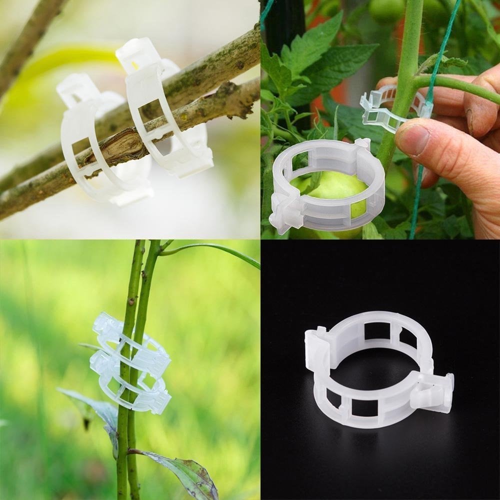 🎄Christmas Sales 48% OFF🔥Plant Support Clips