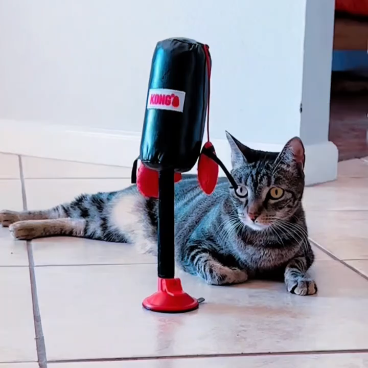 Punching Bag with Boxing Gloves Filled with Catnip, 🔥BUY 2 FREE SHIPPING