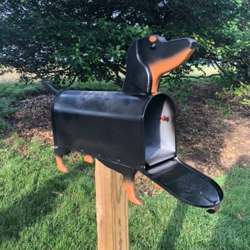 🐶Wiener Dog - Mailbox 📫