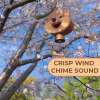 Handmade pure wood Shiba Inu wind chime doorbell🐶