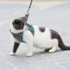 Hot Sale 48% OFF-Cat Vest Harness + Leash Set(🔥🔥BUY 2 GET EXTRA 10%OFF&FREE SHIPPING)