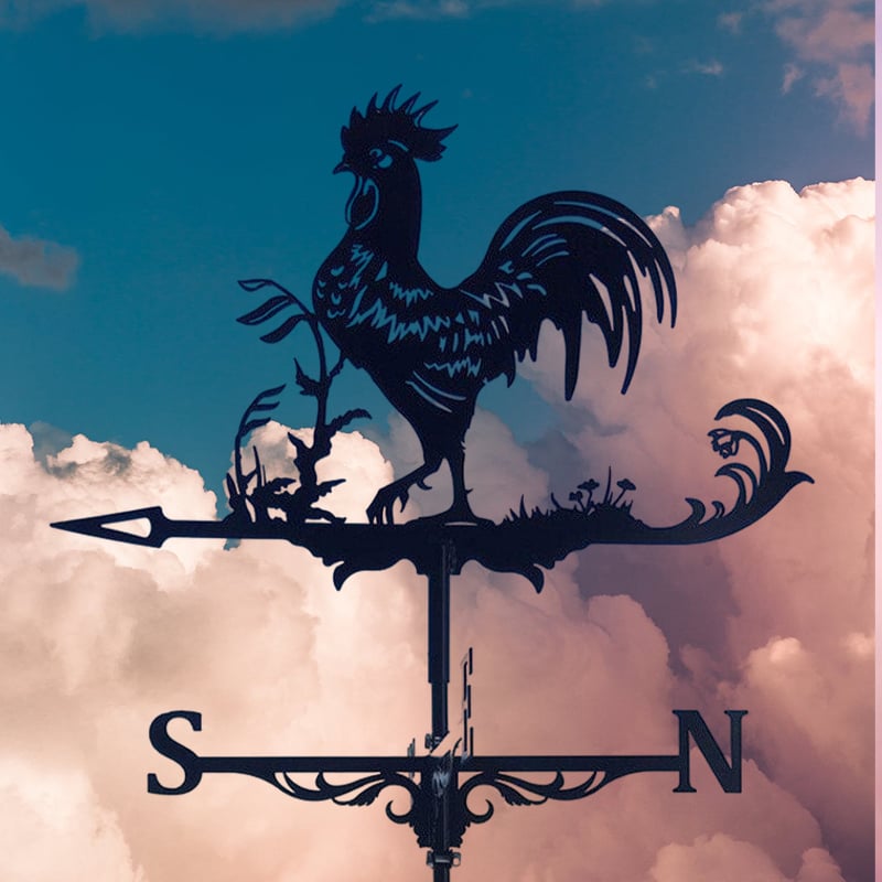 🔥LAST DAY 48% OFF🔥 - 🏠2023 Whimsical Metal Weather Vanes