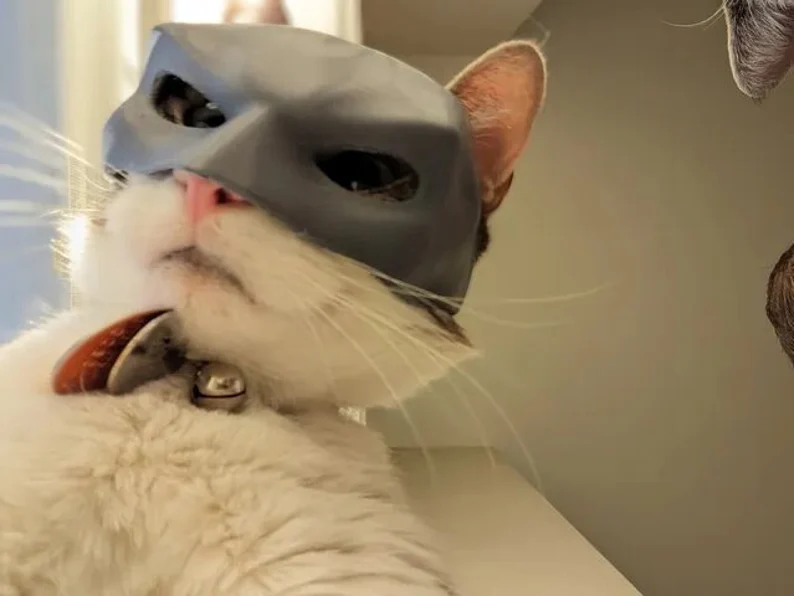 🦇🐱Bat Cat Avenger Mask