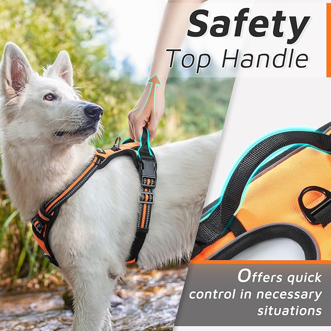 🐶 No Pull Dog Harness for Pets Easy to Put on & Take Off (Buy 2 Free Shipping)