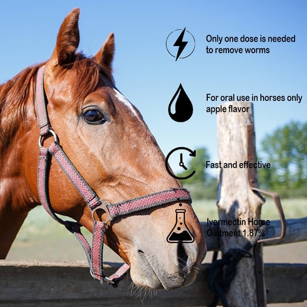 🔥HOT SALE🔥Ivermectin Horse Paste 1.87% 6.08g Tubes