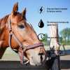 🔥HOT SALE🔥Ivermectin Horse Paste 1.87% 6.08g Tubes