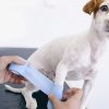 🐾 2024 Best Self-Adhesive Pet Bandage Shoes