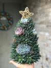 (🎁EARLY CHRISTMAS SALE - 50% OFF) 🎄Handcrafted Succulent Art Tree, Buy 2 Free Shipping Only Today