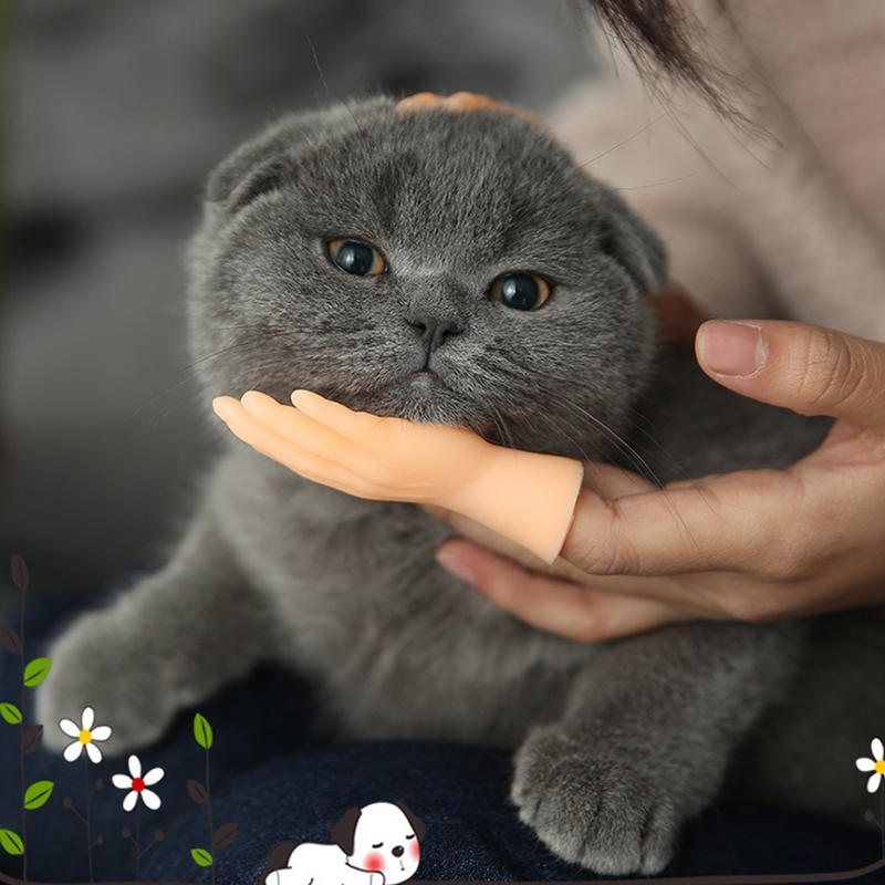 🤣Funny Mini Hand Cat Massage Toy