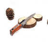 100% Stainless Steel Pocket Knife •