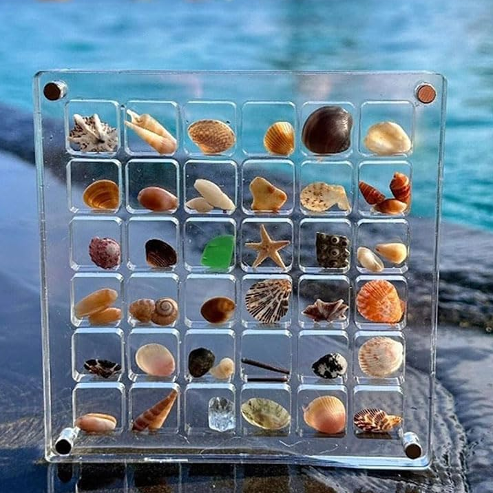 ✨Shells, Jewelry, Stud Earrings Display Case-Buy 2 Free Shipping