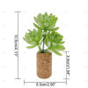 Mega Sale-Succulent Air Freshner Vent Clips