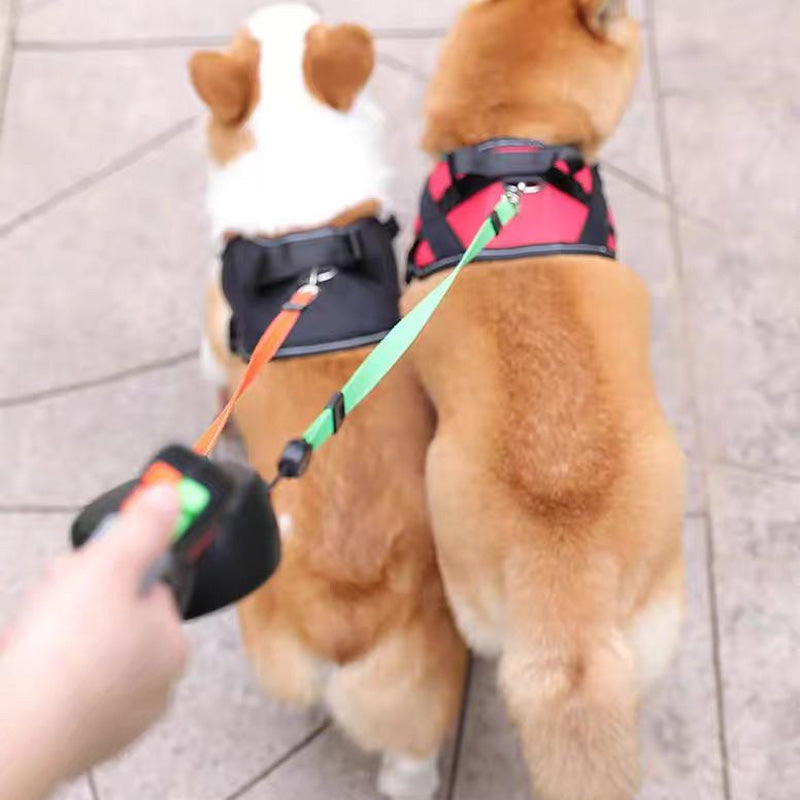 Tiktok Summer Sale🎉Pet Anti-Tangling Leash -🐾No more worries about tangling