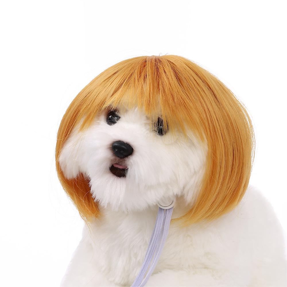 🔥Last Day Promotion - 60% OFF🎁🐕🐱Pet Wigs Cosplay Props