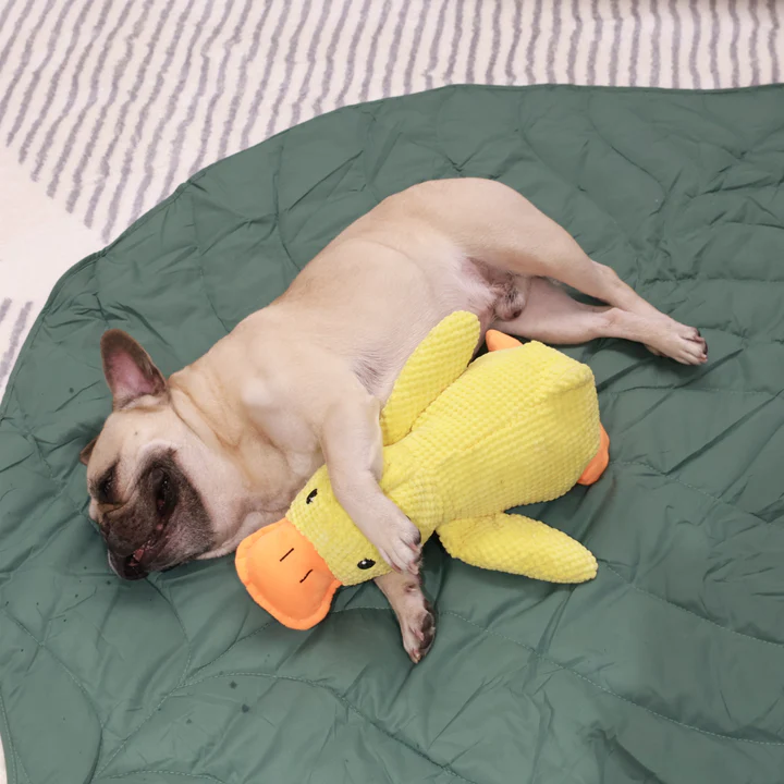 (🔥TikTok Summer SALE)-Quack-Quack Duck Dog Toy🦆