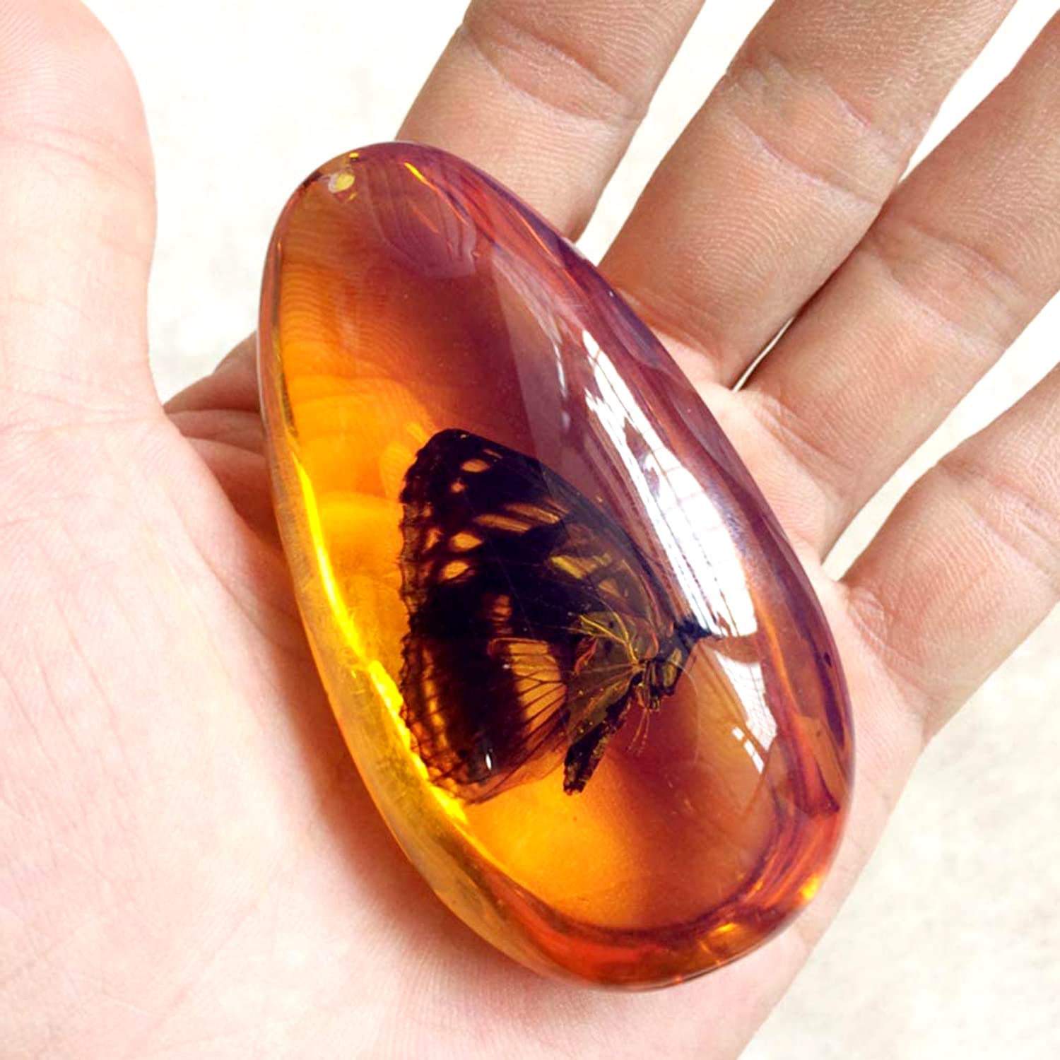 Amber Fossil Insect - Pendant Amber Stone Ornament(🔥Buy 3 get 2 free, 🔥Buy 5 get 5 free！)