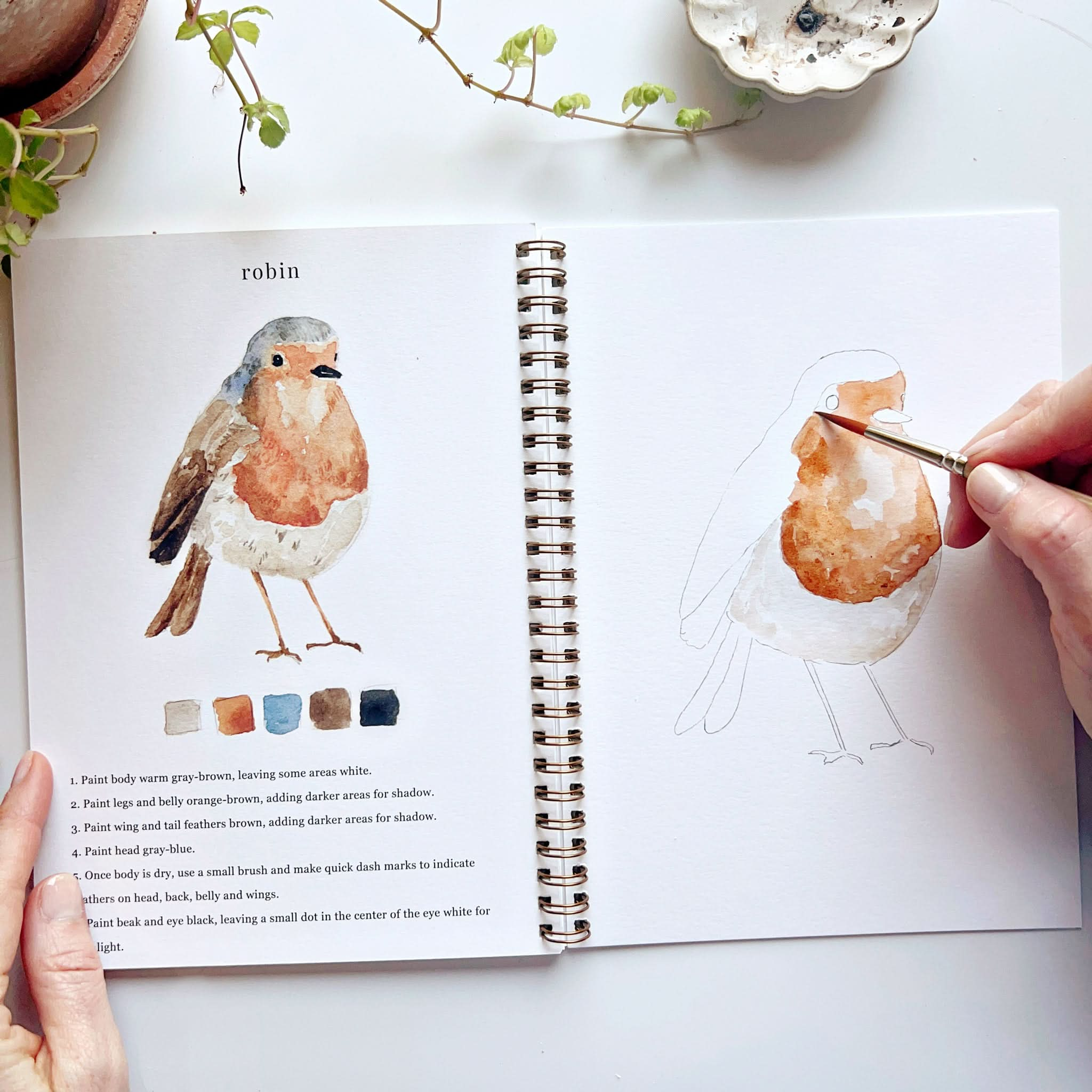 🦜Birds Watercolor Workbook