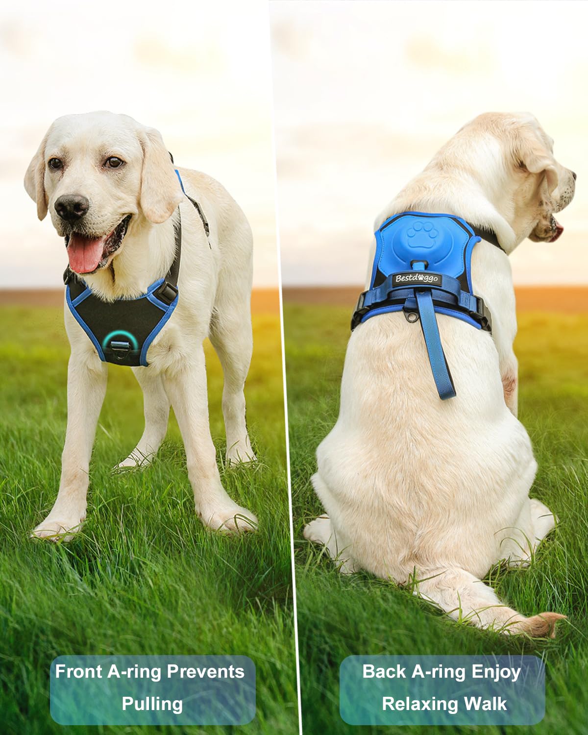🔥2023 HOT SALE - Dog Harness and Retractable Leash Set All-in-One