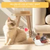 🔥 Last Day Sale 50% Off  ⏰ Interactive Chirping Bird Cat Toy 🐧