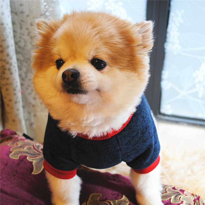 🐕Soft and Lightweight Pet Sweater: Perfect for Cool Evenings