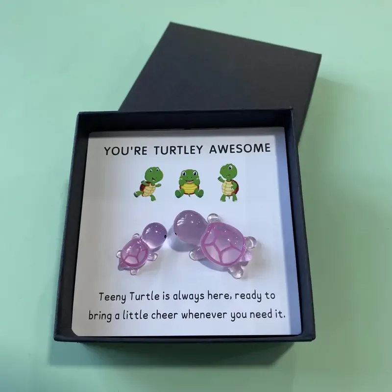 🐢Turtle Gift Box Set -