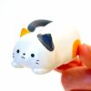 🔥Last Day Sale 49% OFF🔥Clockwork Cat (no batteries needed)