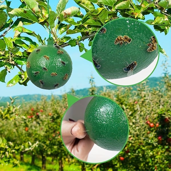 (🎄EARLY CHRISTMAS SALE - 50% OFF) 🎁Hanging Environmental Fruit Fly Traps Sticky Traps