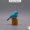 🎖️July 4th Flash Sale: 50% OFF Sitewide! 💕<strong>Handmade</strong> Wooden Carved Bird + Stand