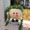 🌼 Swing Smile Face Hanging Flower Head Planters Pot