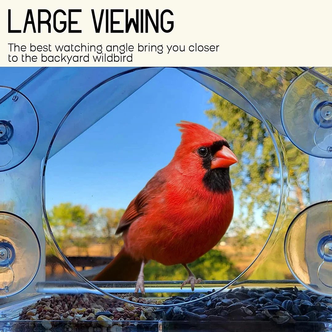 🔥Early Summer Sale 49%OFF🔥--Window Bird Feeder for Outside[BUY 2 FREE SHIPPING]