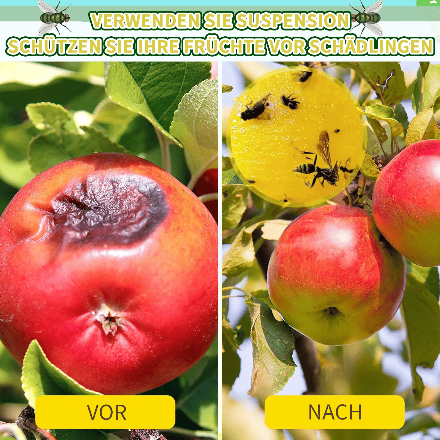 🎁Letzter Tag 49 % Rabatt🔥Klebrige Fliegenbälle