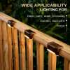 🔥Last Day Promotion 50% OFF🔥Waterproof Outdoor Solar Deck Lights