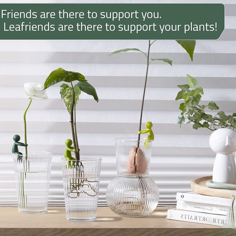 🎁TikTok Last Day Promotion -70% OFF🔥Plant Propagation Buddy