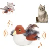 🔥 Last Day Sale 50% Off  ⏰ Interactive Chirping Bird Cat Toy 🐧