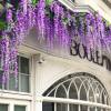 🔥Last Day Promotion 70% OFF - UV Resistant Lifelike Wisteria Hanging Flowers