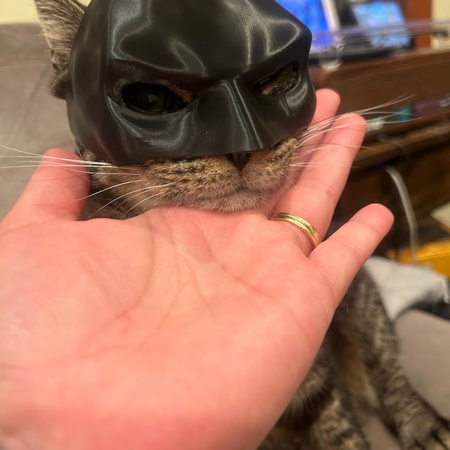 🔥Halloween Sale 49% OFF 🔥 Superhero Cat Mask