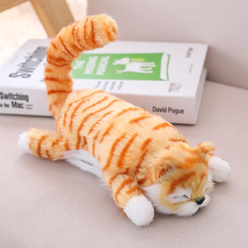 $17.99,ONLY FOR TODAY -Funny Rolling Cat