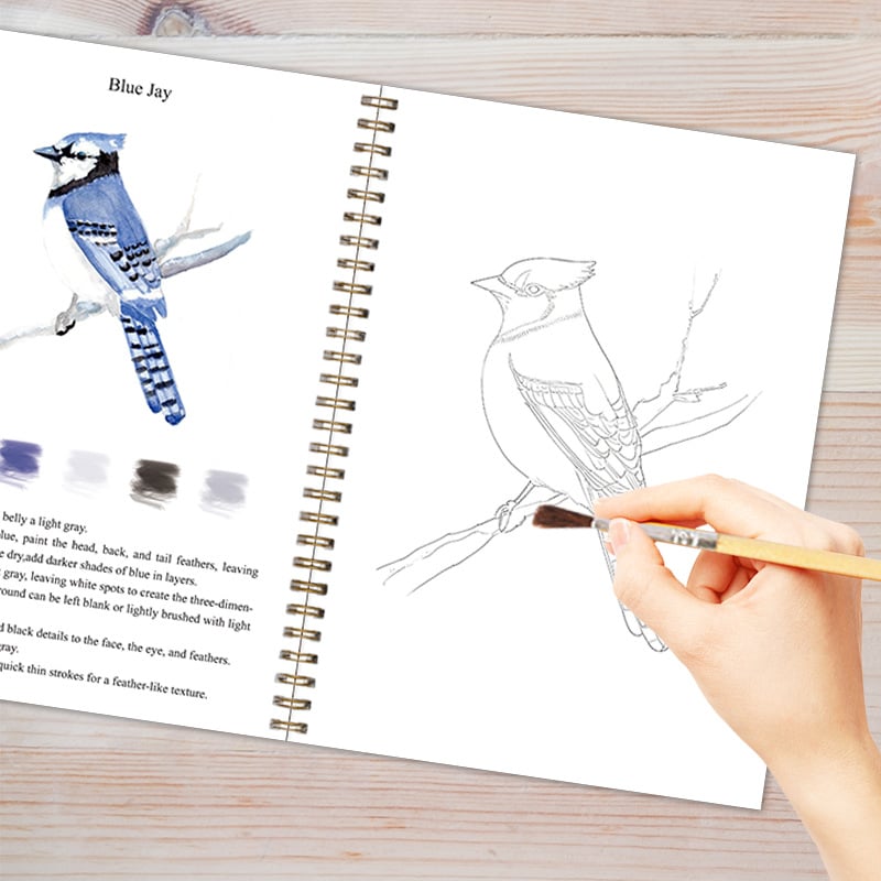 🦜Birds Watercolor Workbook