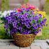 💖Spring Hot Sale 49% OFF- Artificial Flowers for Outdoors💐