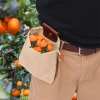 Christmas Hot Sale 48% OFF - Outdoor Garden Foraging Bag(buy 3 free shipping now)