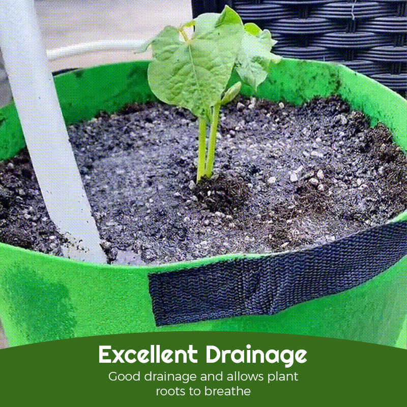 🎁Last Day Promotion- SAVE 48%🔥Fabric Vegetable Plant Growth Bag(BUY 3 GET FREE SHIPPING NOW)