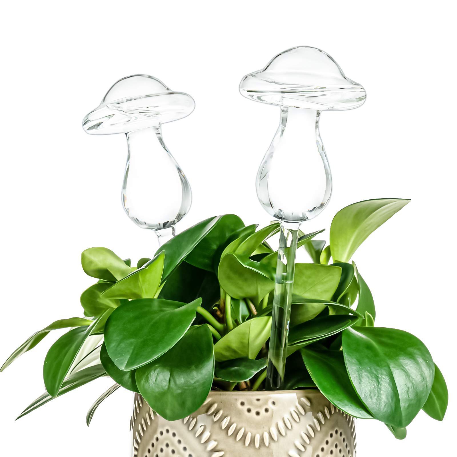 🎁TikTok Last Day Sale - 70% OFF✨ Mushroom Shaped Self-Watering Globes