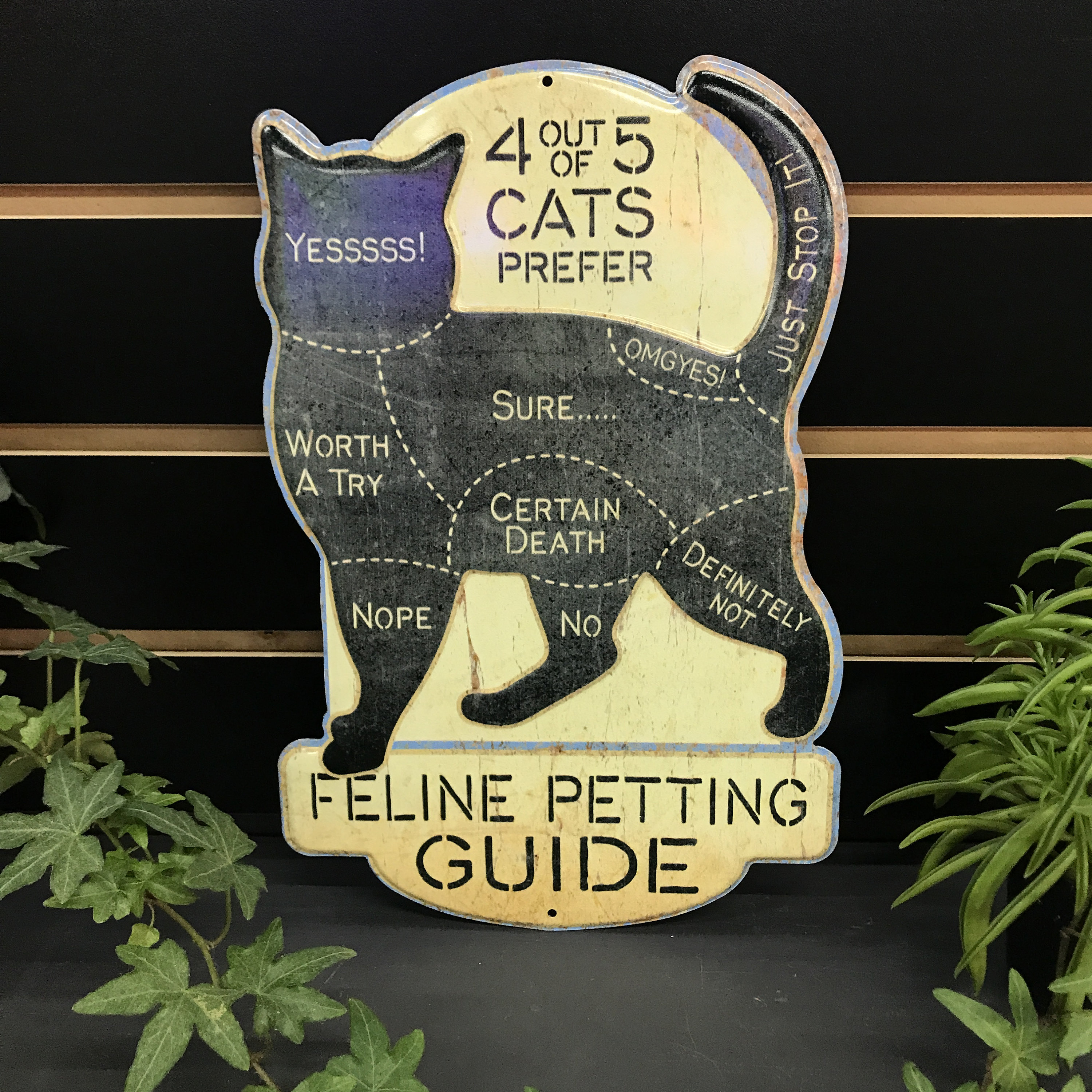 😺Feline Petting Guide - Funny Cat Signs