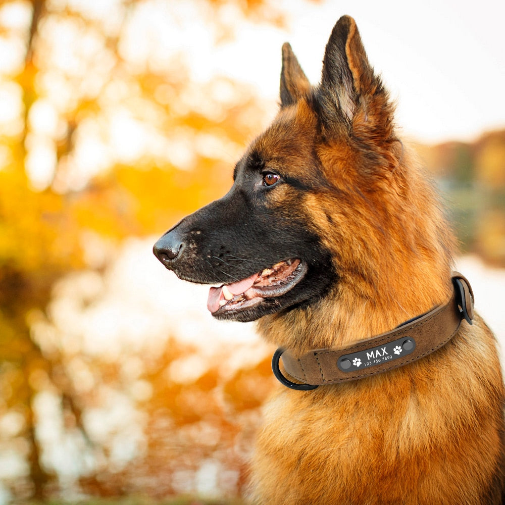 Personalized, Custom Engraved Leather Dog Collar & Leash Set