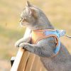 🎁Holiday Promotion🎉【Buy 2 Get Extra 10% OFF】Luminous Cat Vest Harness And Leash Set