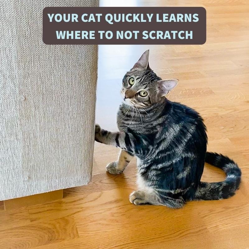 🛋️Purrfect Scratch Guard for Furniture